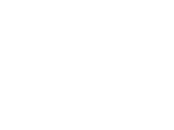 ferretti logo